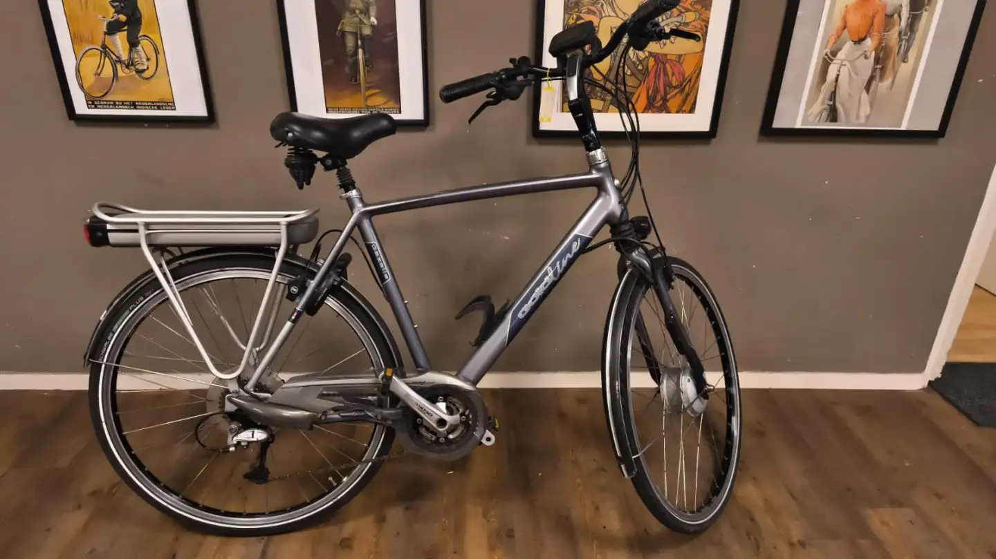 Gazelle goldline
