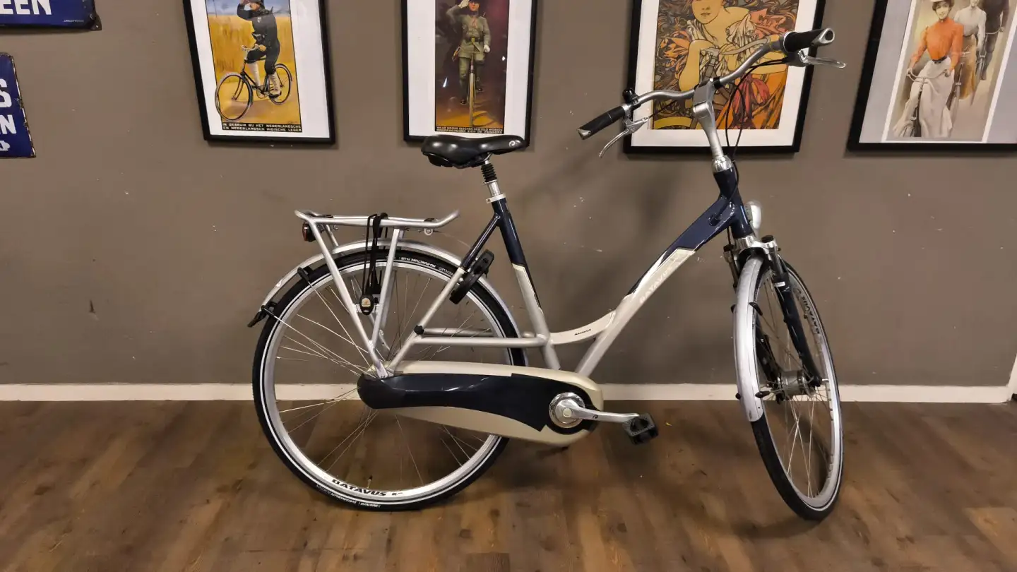 Batavus commuter